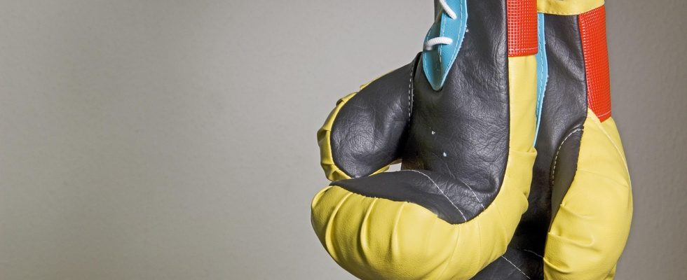 Boxing, boxing gloves, sports — La Grada Offers Unique Match Reactions and Opinions