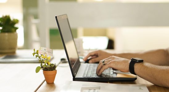 Online, connection, nature — Smart IPTV Platforms for Streaming TV, Movies, and Live Channels on Smart Devices