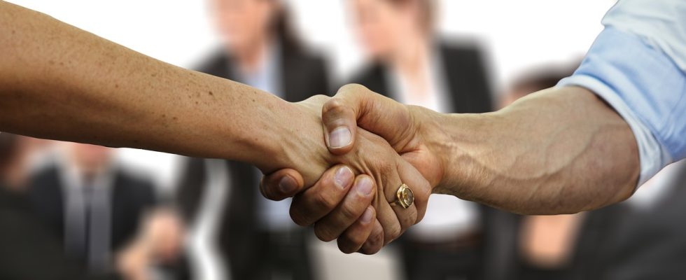 Hands, business people, team — Web Design Agency Southampton: Building Brand Authority Online